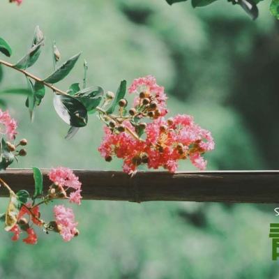 AG大厅网址手机app下载