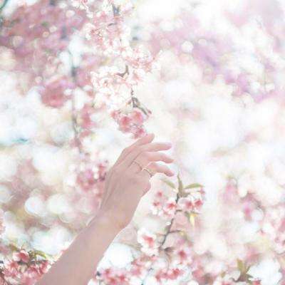 竞猜足球appapp下载